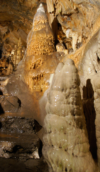 Grotte Toirano