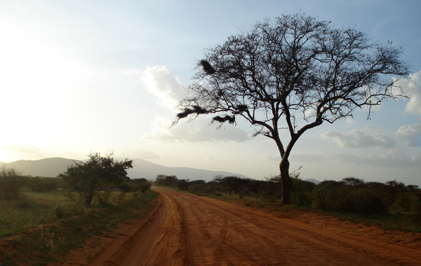 Organizzare un viaggio in Kenya con bambini