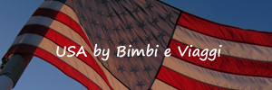 USA by Bimbi e Viaggi BANNER HP