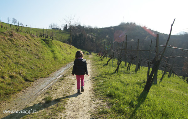 Trekking in Valsamoggia 