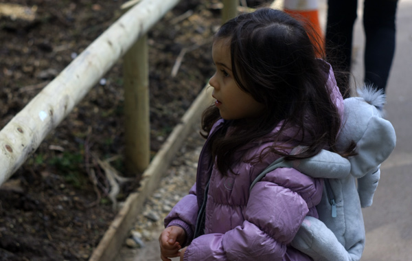Cotswolds con bambini: il Cotswolds Wildlife Park
