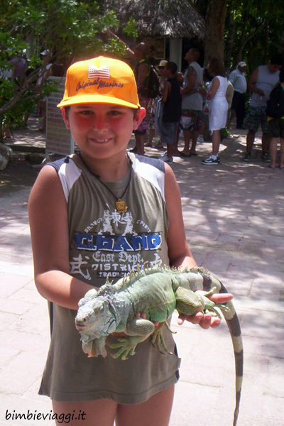 Messico con bambini-iguana