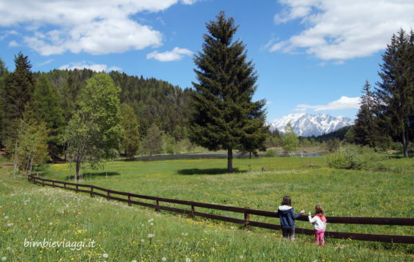riserva pian gembro torbiera - Valtellina con bambini
