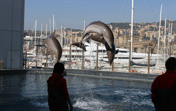 Genova per bambini-acrobazie