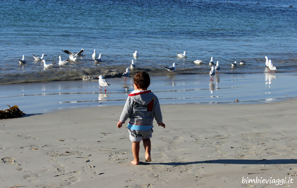 Australia con bambini-spiaggia