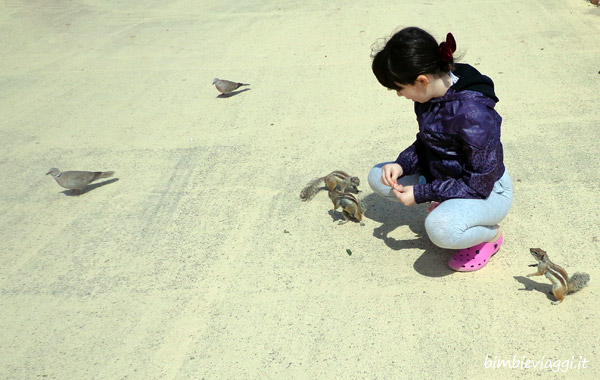 Fuerteventura con bambini-scoiattolini