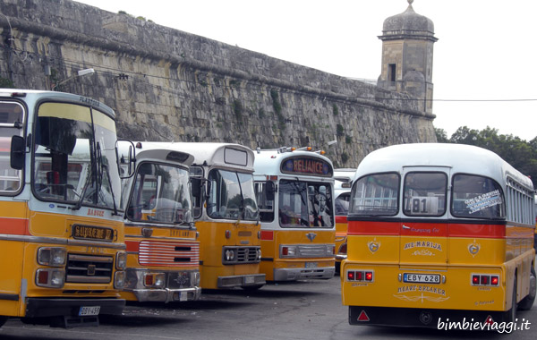 Malta con bambini-bus di Malta