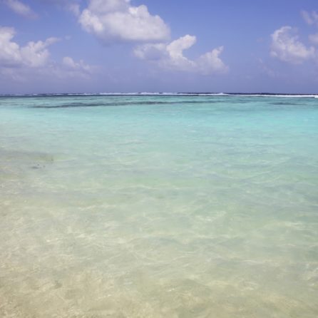 Isole Laccadive con bambini: come organizzare il viaggio in paradiso