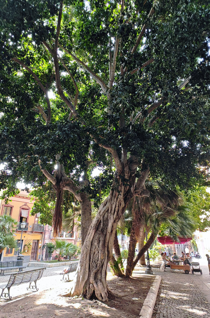 Piazza San Domenico - Cagliari con bambini