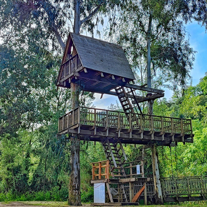 casa sull'albero di allai sardegna